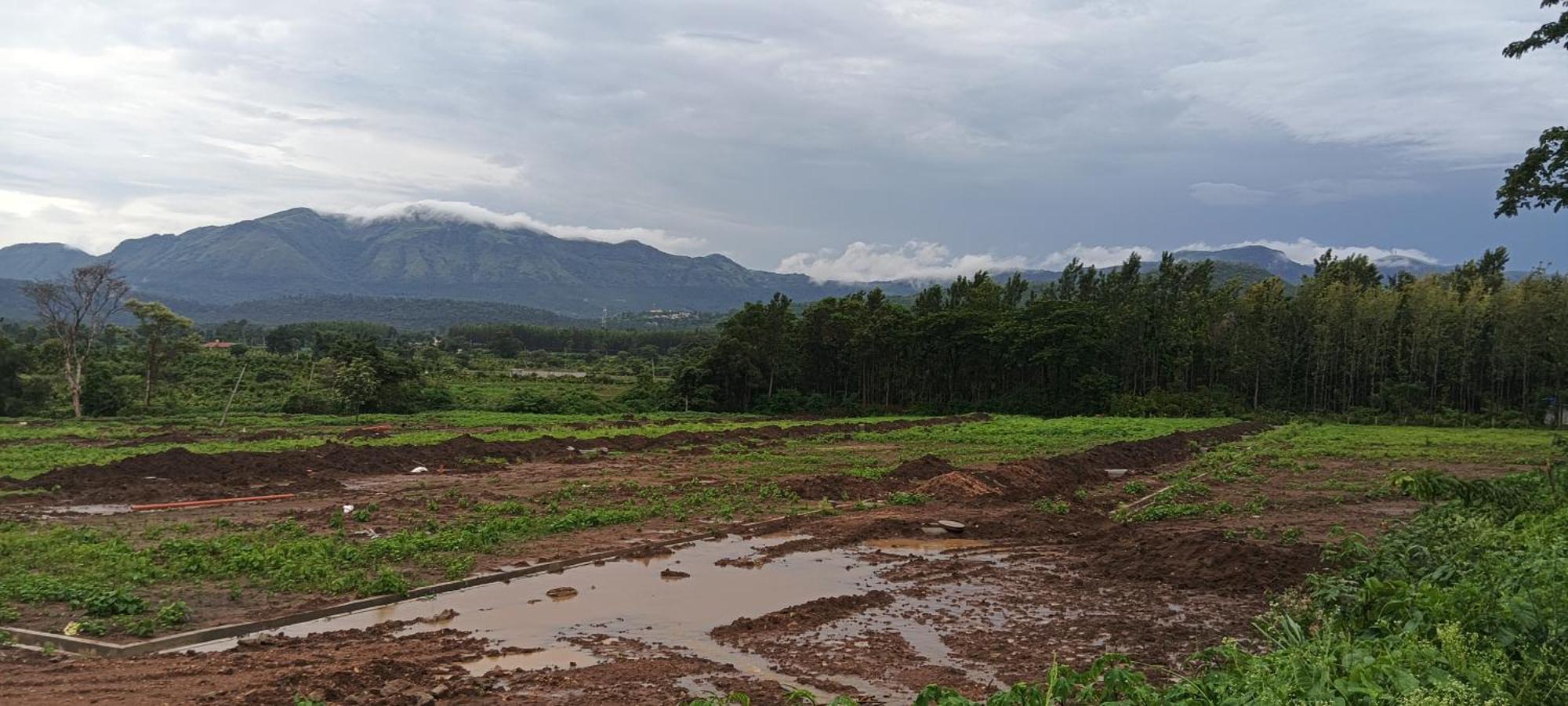 Malgudi Mane Homestay Chikmagalūr エクステリア 写真