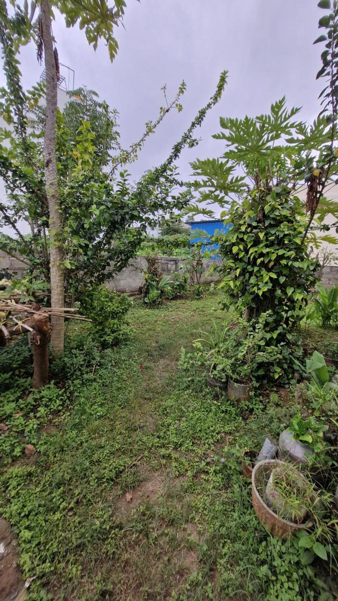 Malgudi Mane Homestay Chikmagalūr エクステリア 写真